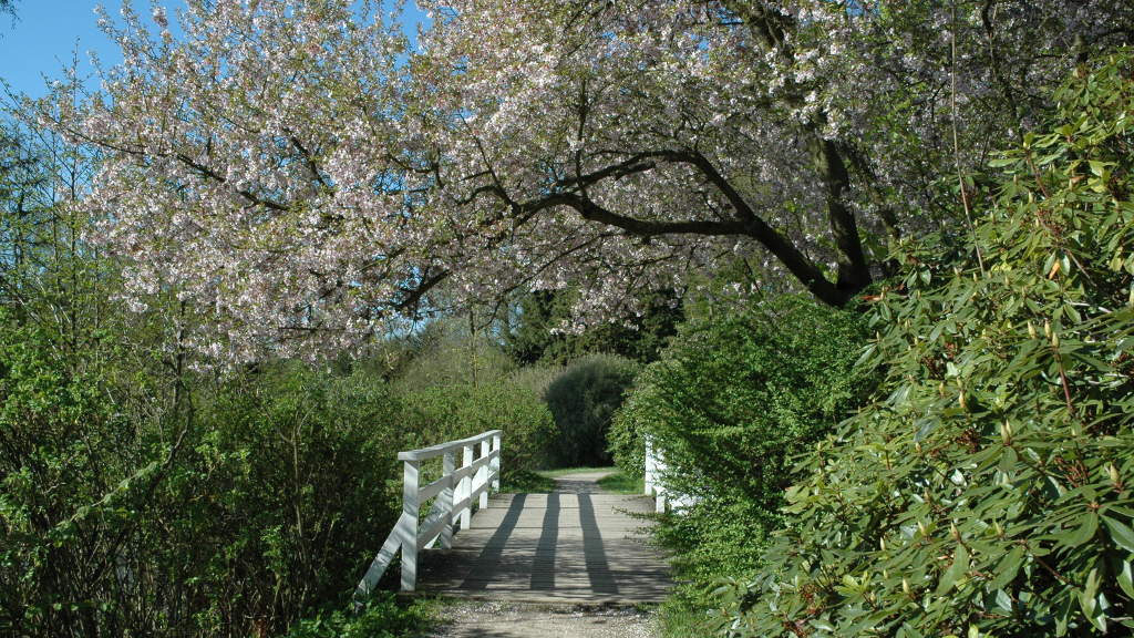 Vielse ved skov og strand