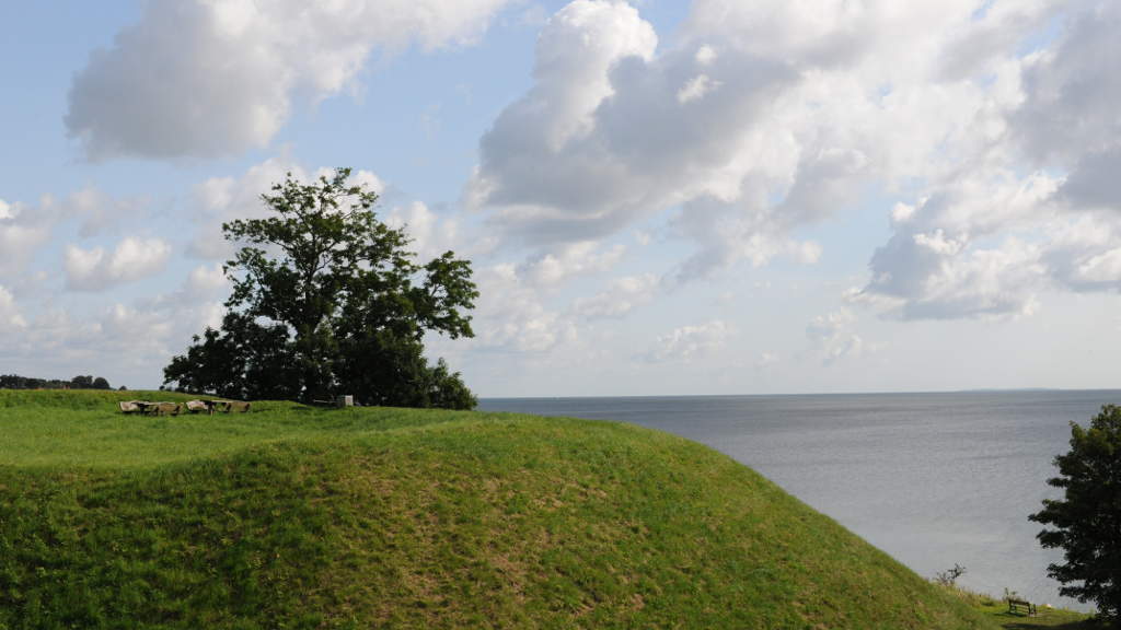 Vielse ved skov og strand