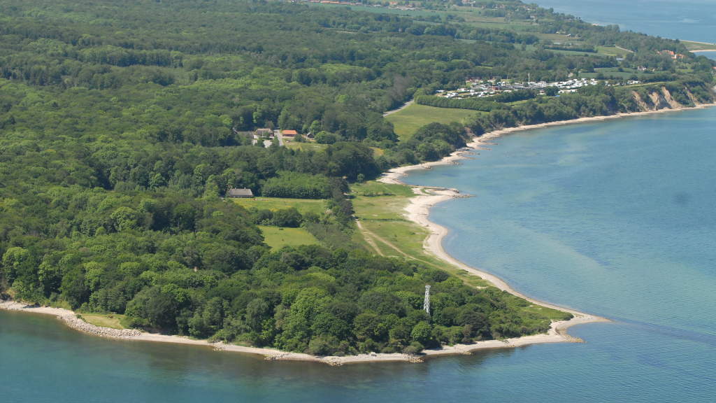 Vielse ved skov og strand