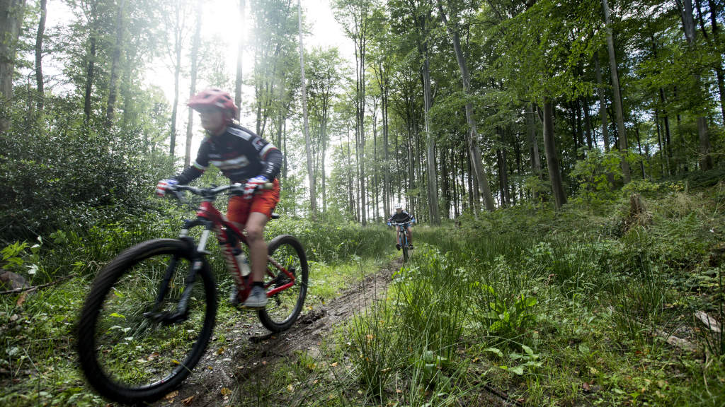 Mountainbike trail in Hannerup Forest