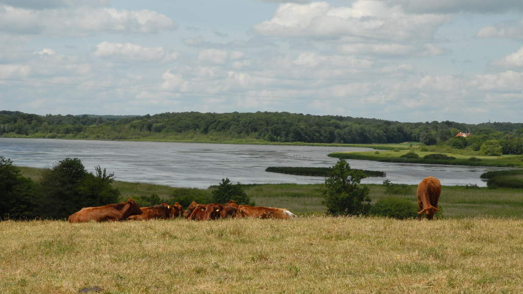 T6 Cycle route – Rands Fjord 15.5 km