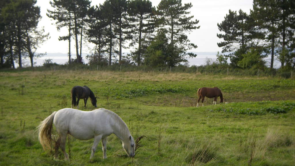 T9 Cycle Route – Trelde Næs 34.4 km