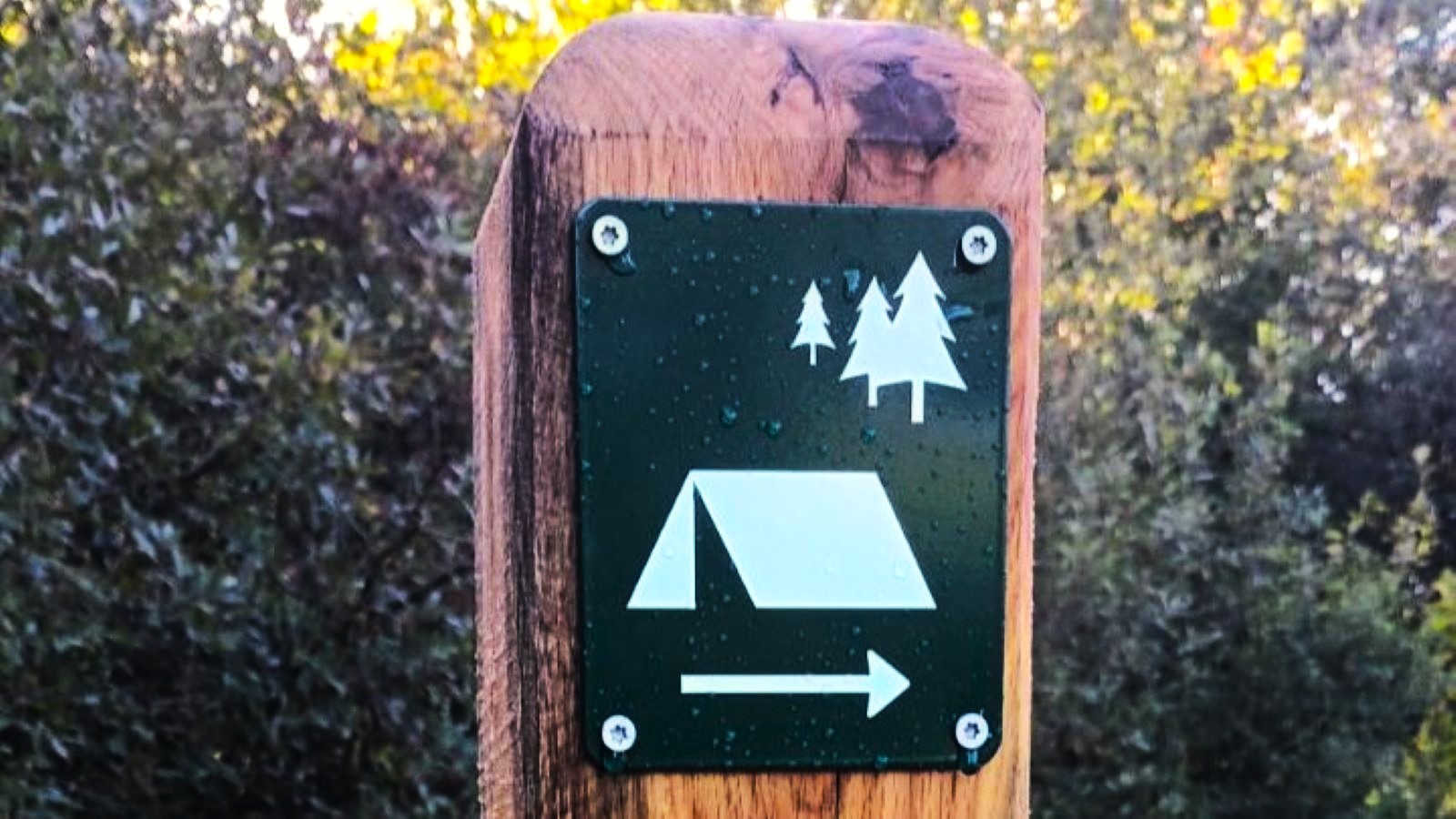 Snoghøjgårdpark Tent Site