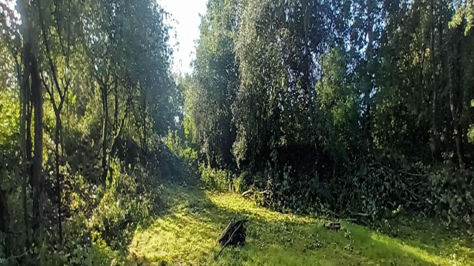 Snoghøjgårdpark Tent Site