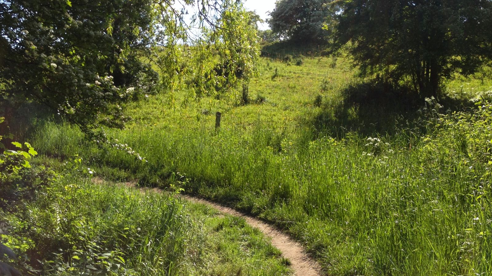 Snoghøjgårdpark Tent Site