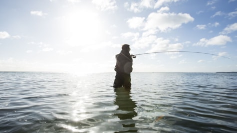 man stands in waders and fishes