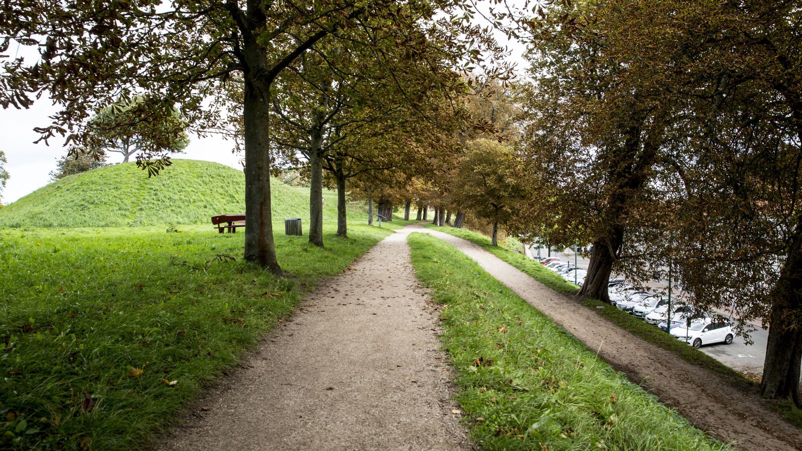 Natureventyr på Østerstrand