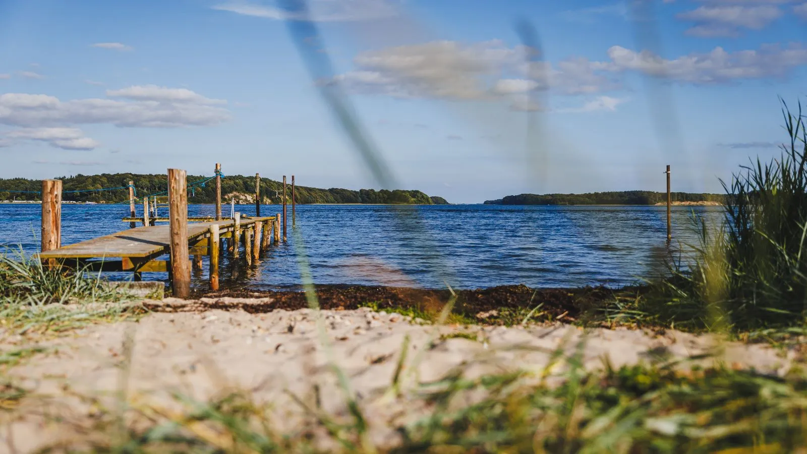 Beach at Hagenør in summer weather. A bathing jetty leads into the water. In the foreground, there is sand and beach grass.