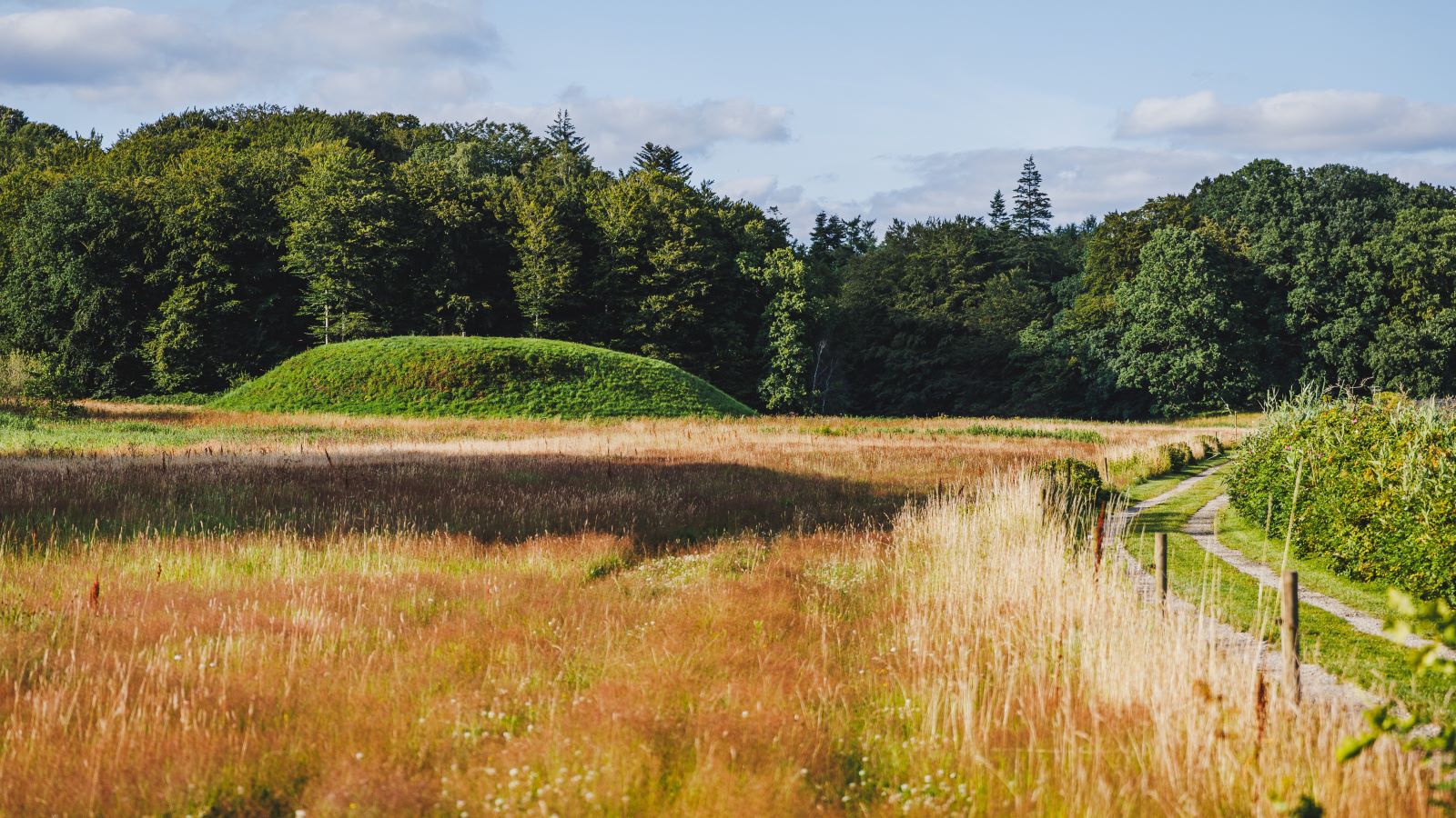 A field path runs along a cornfield. In the background, you can see Hagenør Castle Hill.