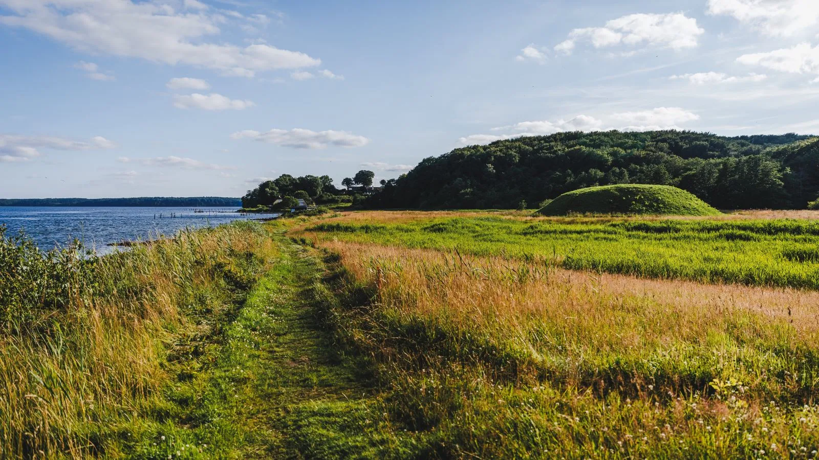 A footpath along the coast at Hagenør in summer weather.
