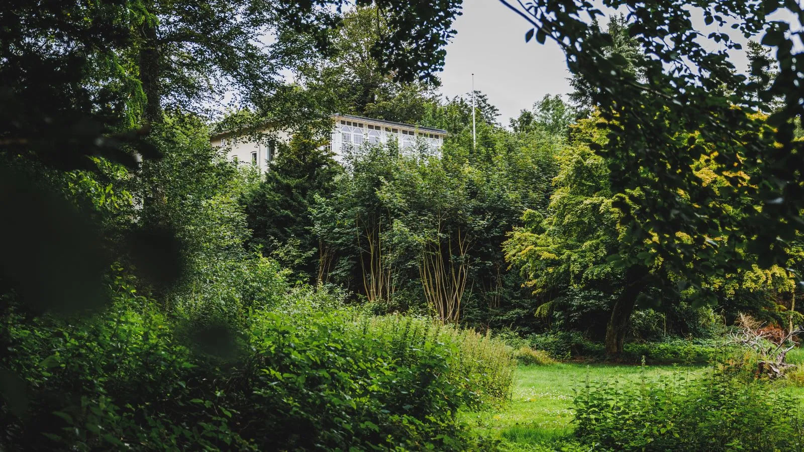 Forest at Hannerup. Among the trees, you can see the white Hannerup House.