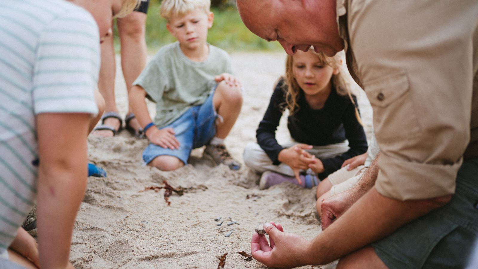 A nature guide is showing some fossils to interested children. They are sitting in the sand on the beach.