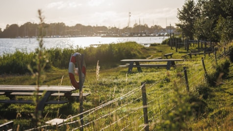 Natur ved Skærbæk i aftenssol.