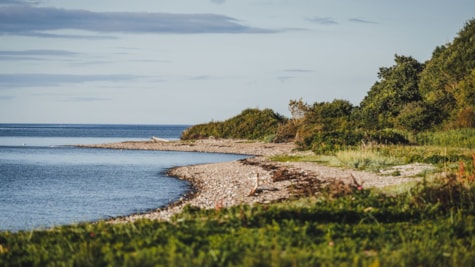 Trelde Næs strand.