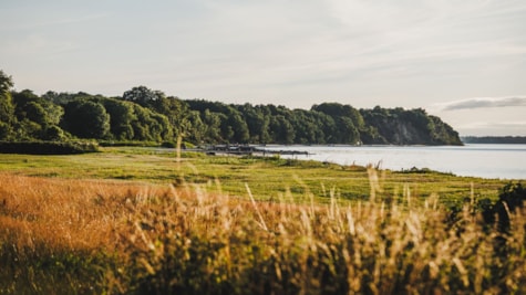 Trelde Næs strand.