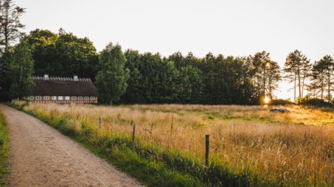 Markvej på Trelde Næs.