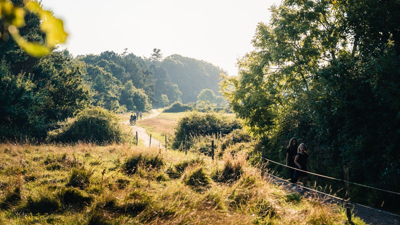 Hiking trail at Trelde Næs. The path goes through meadow and forest.