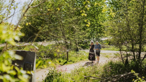 Par går på kunstvandring gennem Søndervold Naturpark.