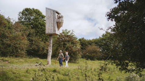 Træskulptur stær Madsbyparken