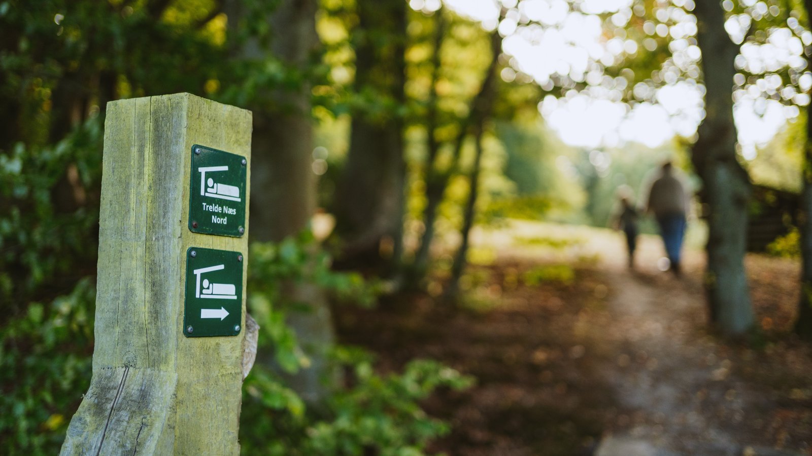 Shelter Syd Trelde Næs