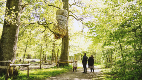 Familie kigger på træskulptur af en ugle i Fuglsang Skov