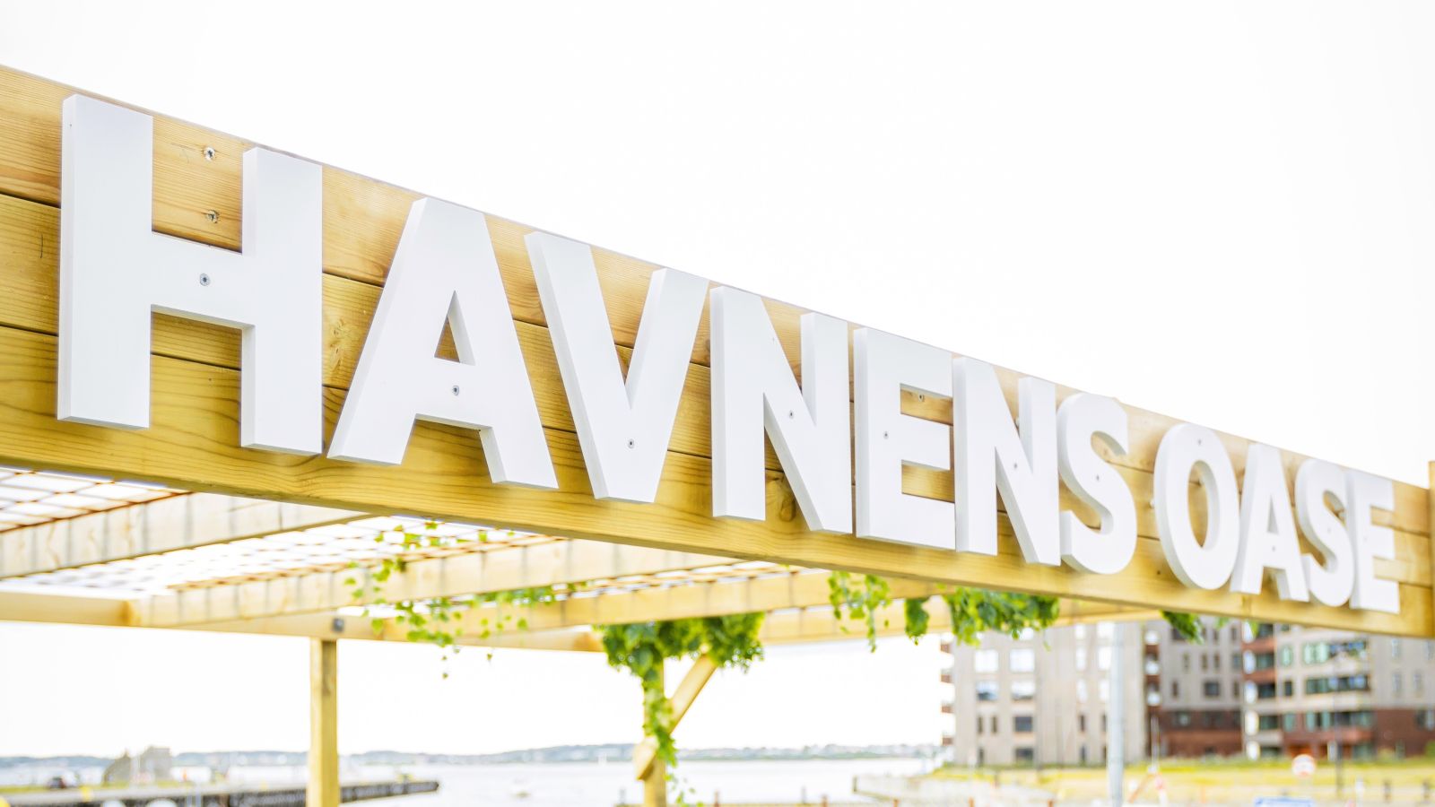 Havnens Oase