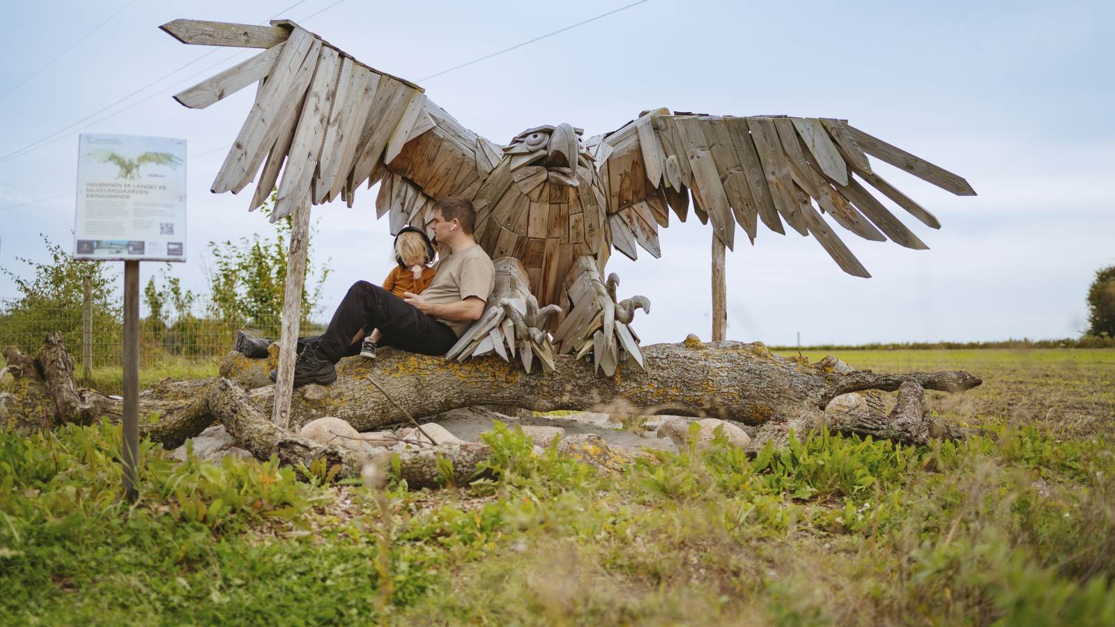 Die Holzskulptur des Seeadlers bei Kringsminde