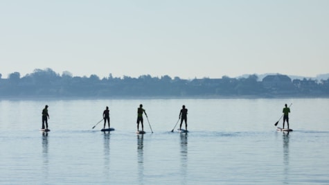Stand Up Paddle
