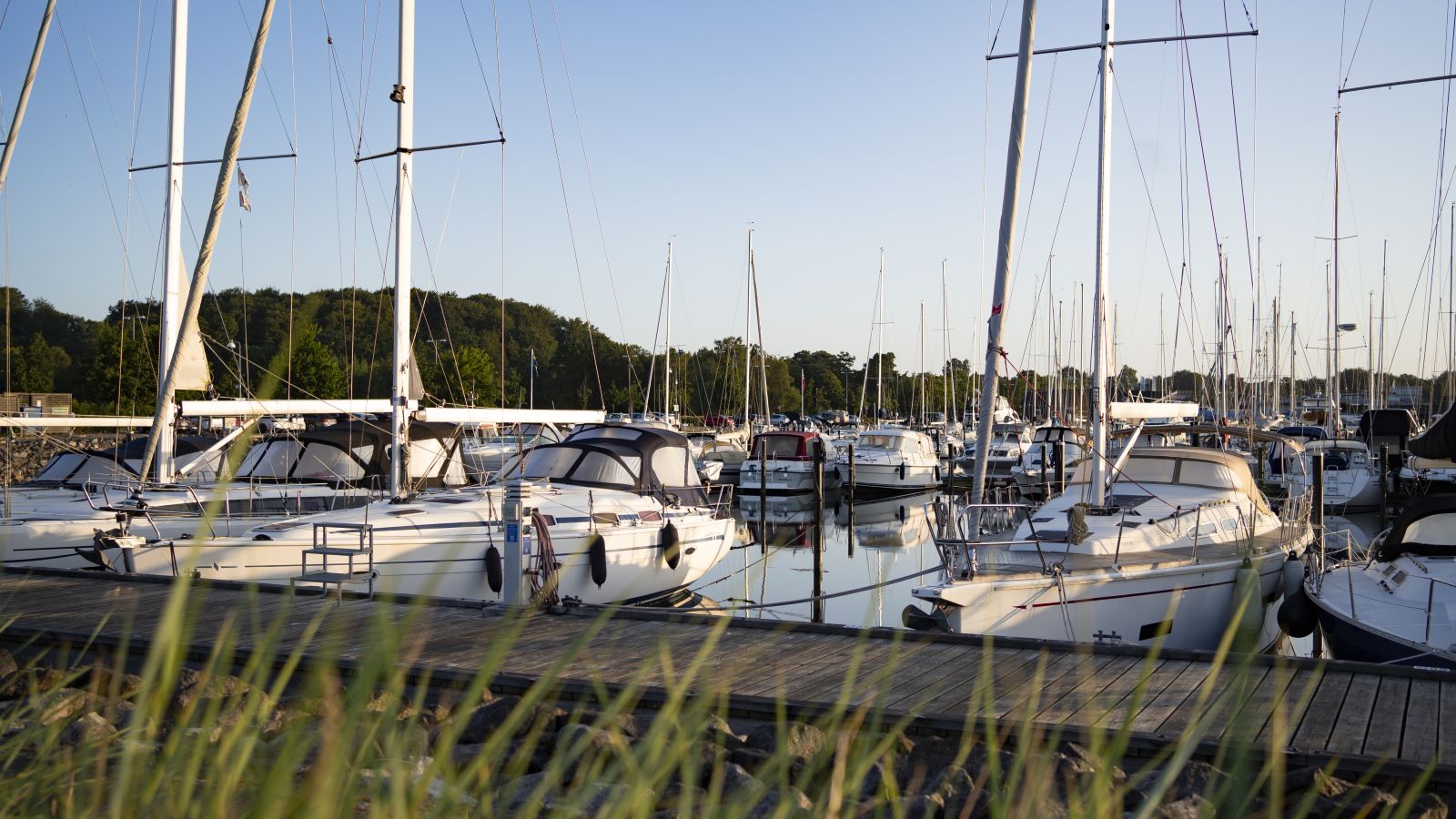 Skibe i lystbådehavnen Marina Fredericia