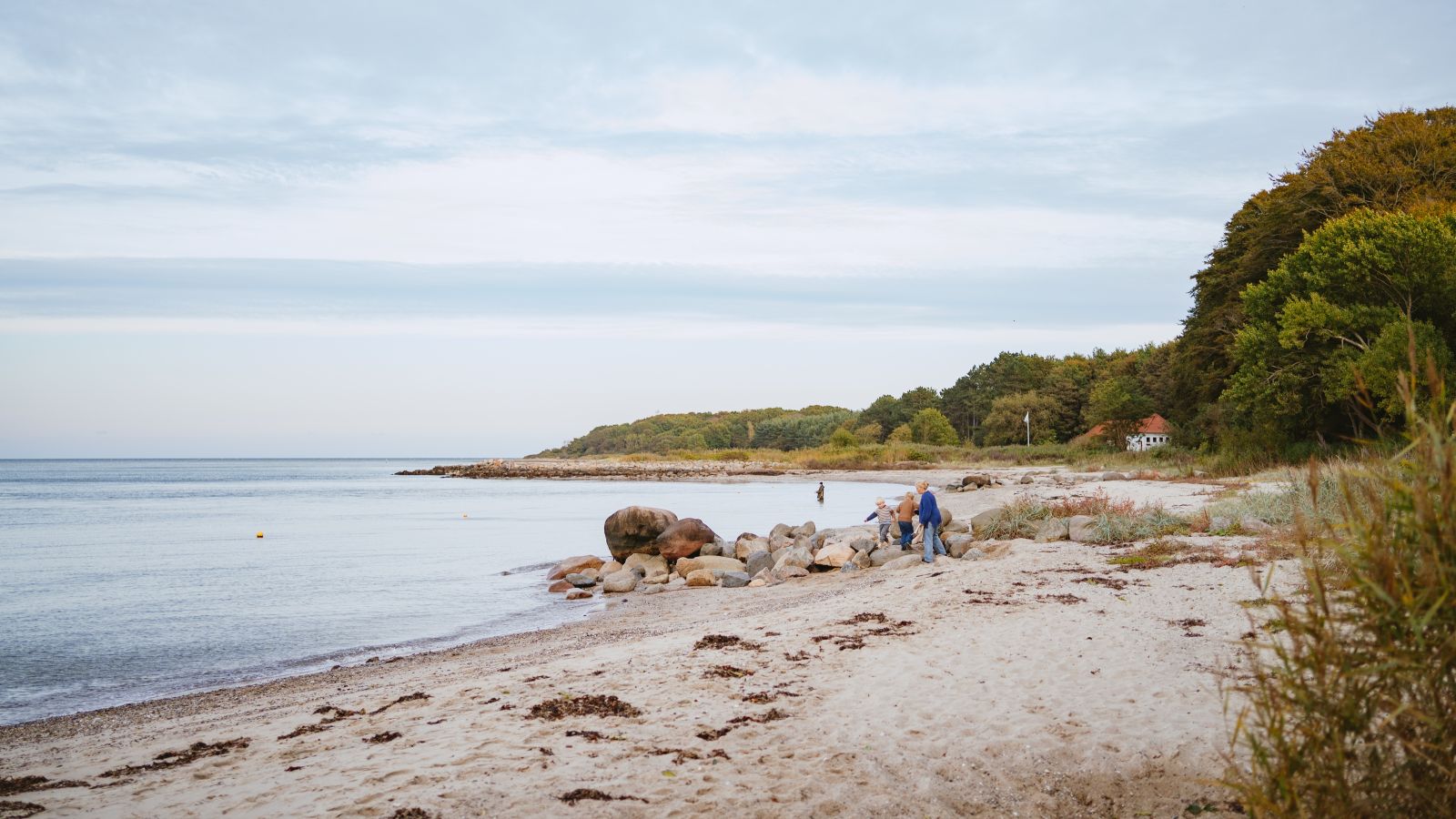 Trelde Næs Strand