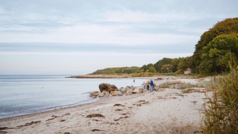 Trelde Næs Strand