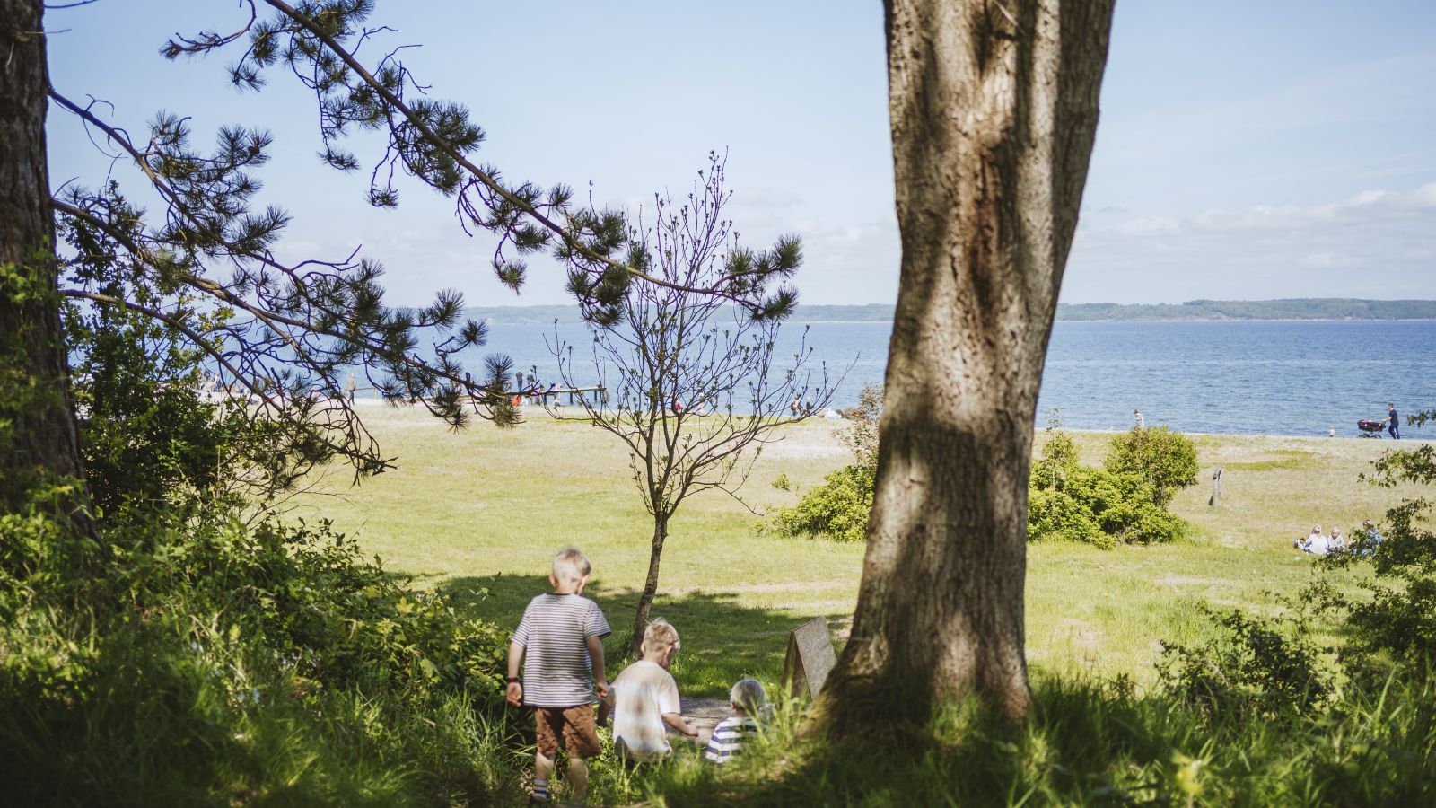 Trelde Næs Strand