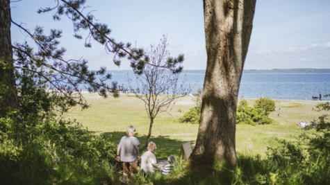 Trelde Næs Strand
