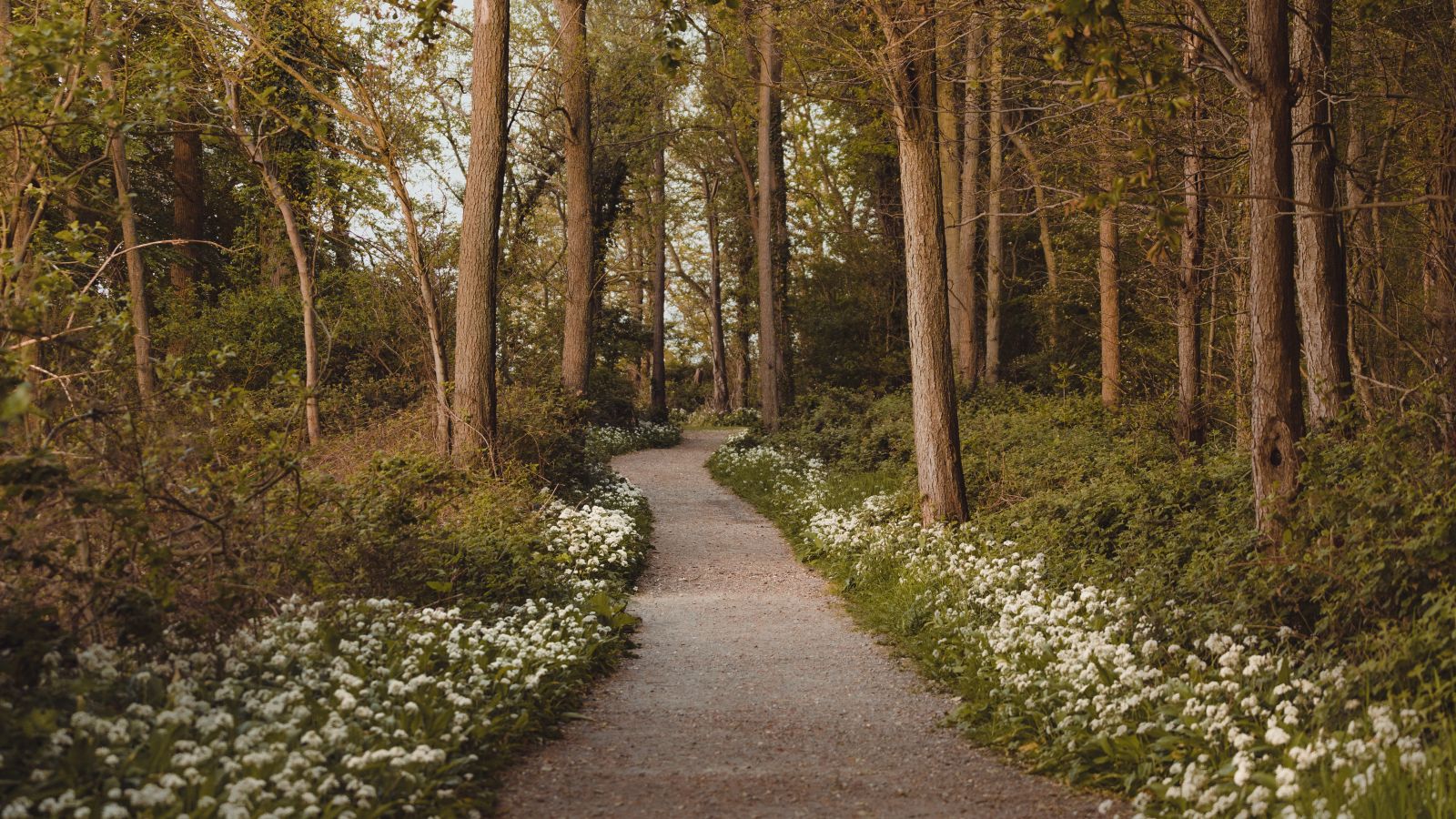 Trelde Næs