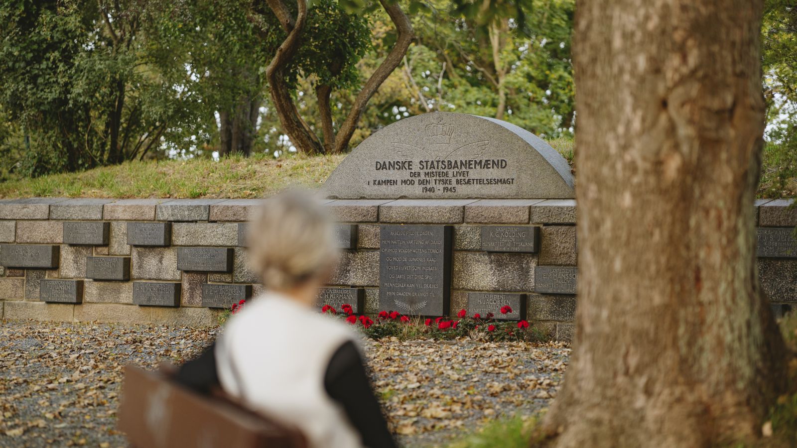 DSB Memorial Grove