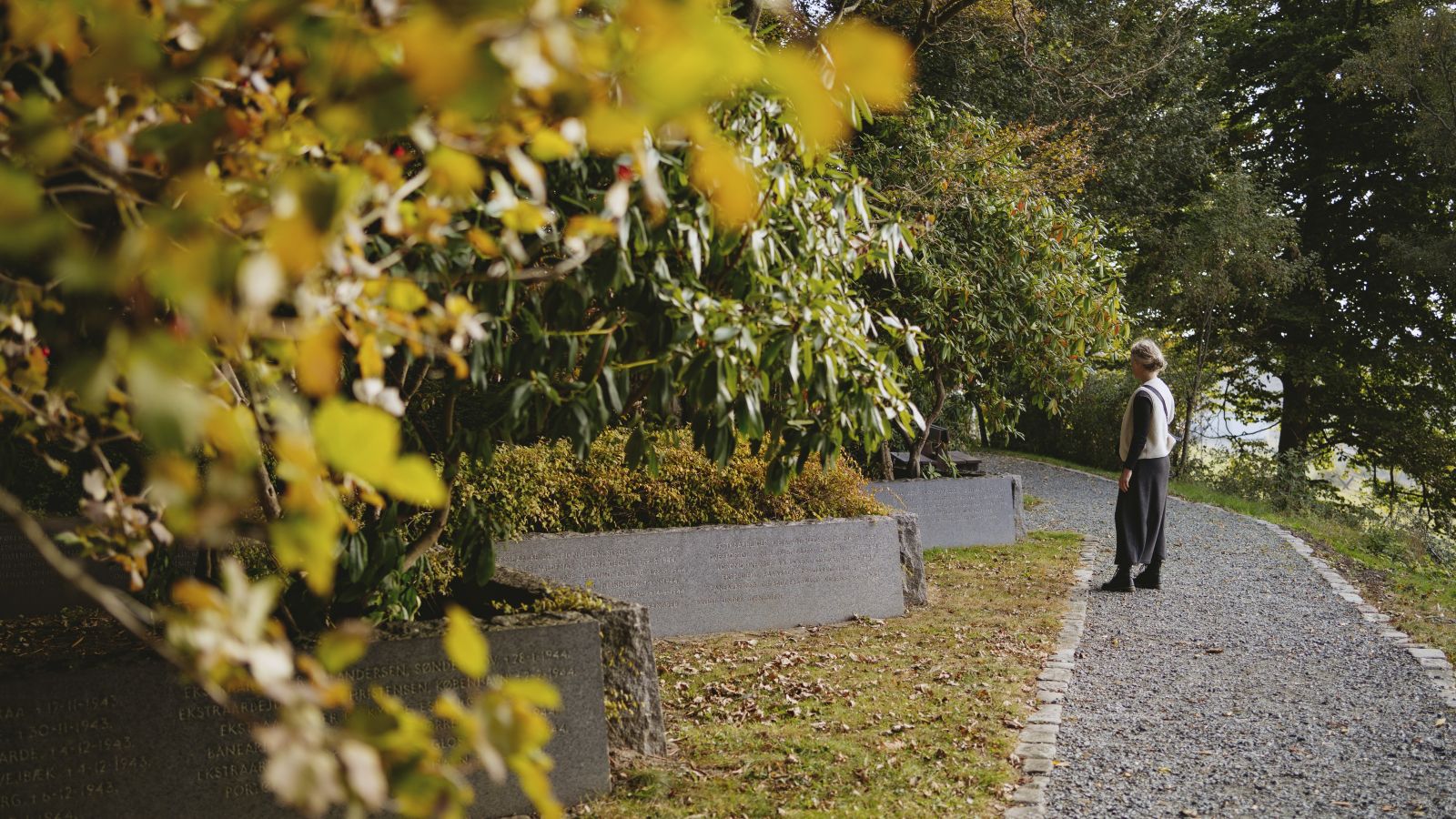 DSB Memorial Grove