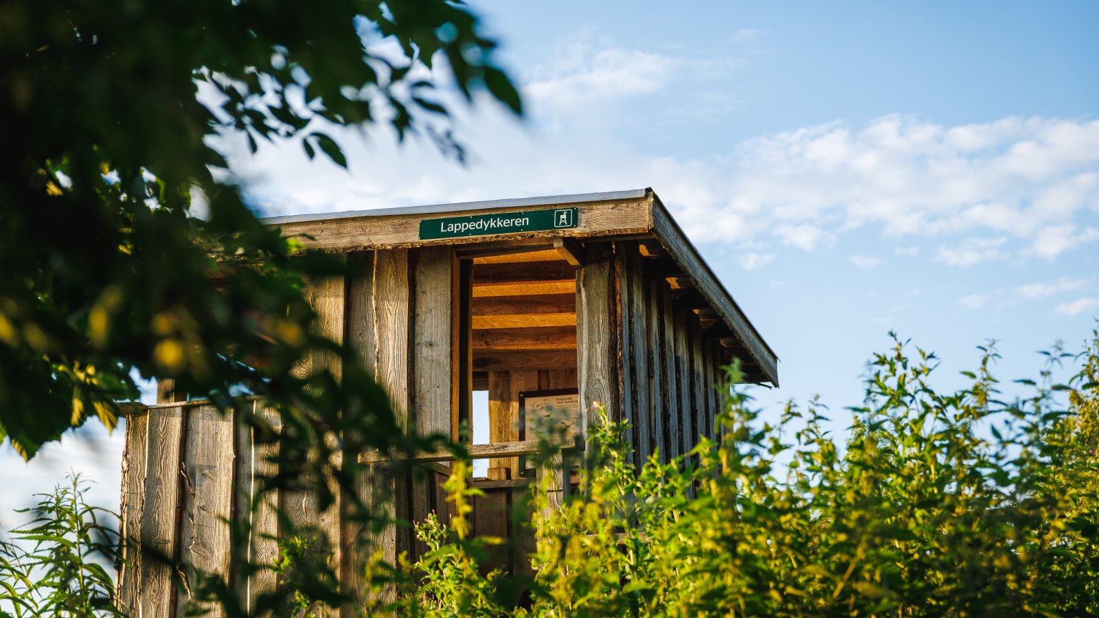 The Lappedykkeren Birdwatching Tower at Rands Fjord