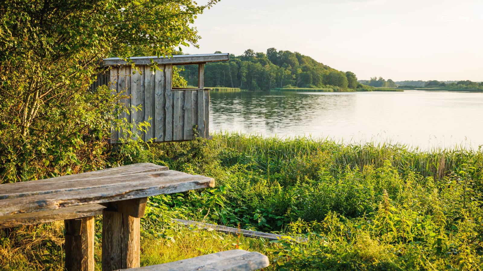 The Lappedykkeren Birdwatching Tower at Rands Fjord