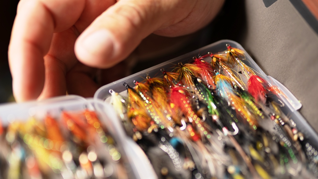 Brahetrolleborg Game Fair