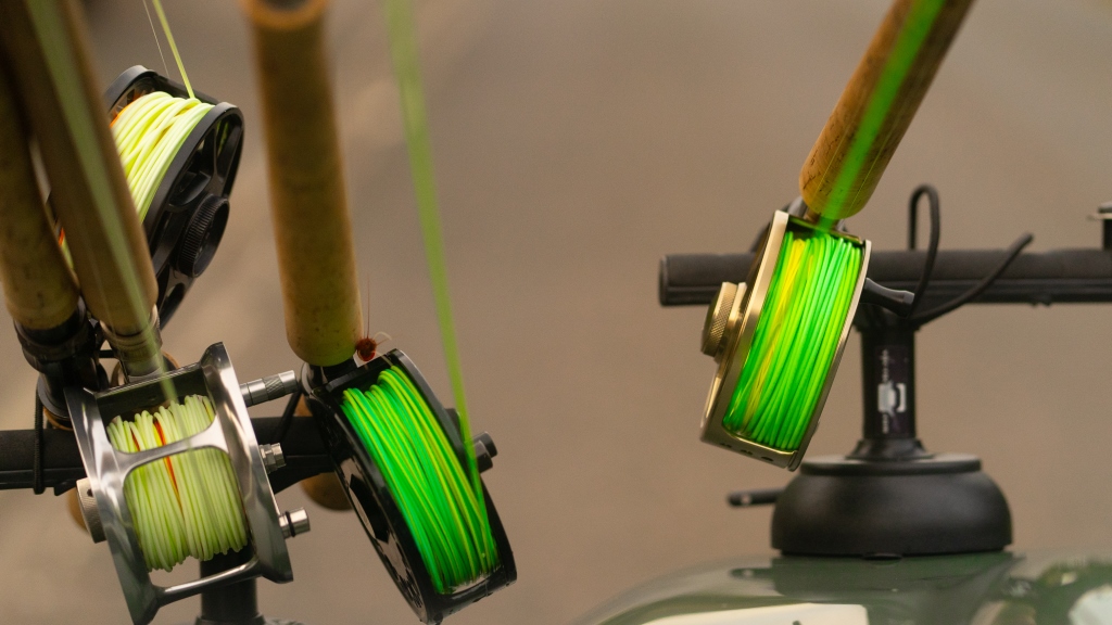 Brahetrolleborg Game Fair