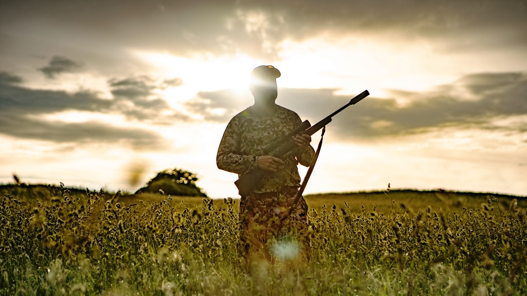 Brahetrolleborg Game Fair