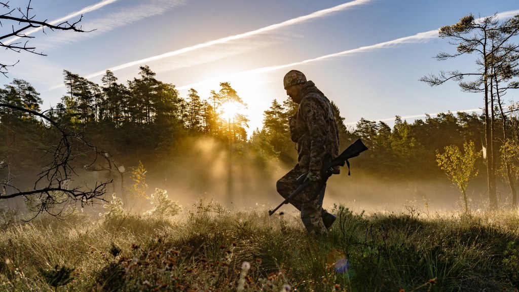 Brahetrolleborg Game Fair