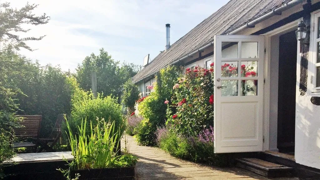 Oase Lyø - Galleri - Café and Bed & Breakfast