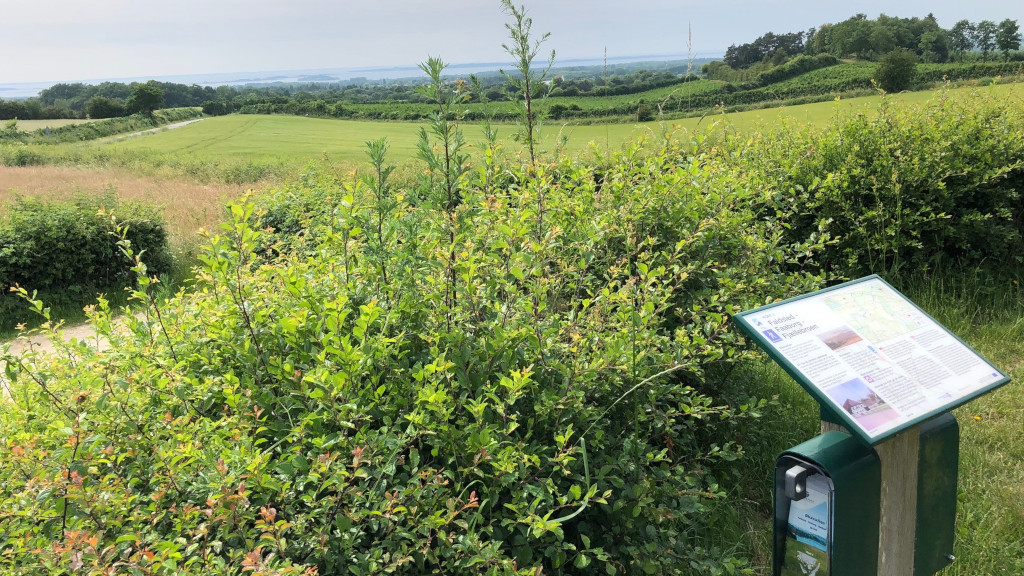 AutoCamper Dronningepladsen 