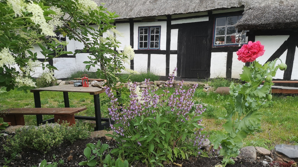 Den Gamle Krarup Skole