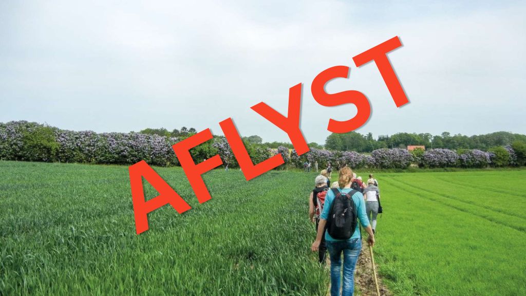 Aftentur i Syrenlandet