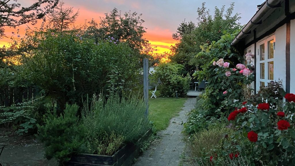 Aftenstemning hos Oase Lyø