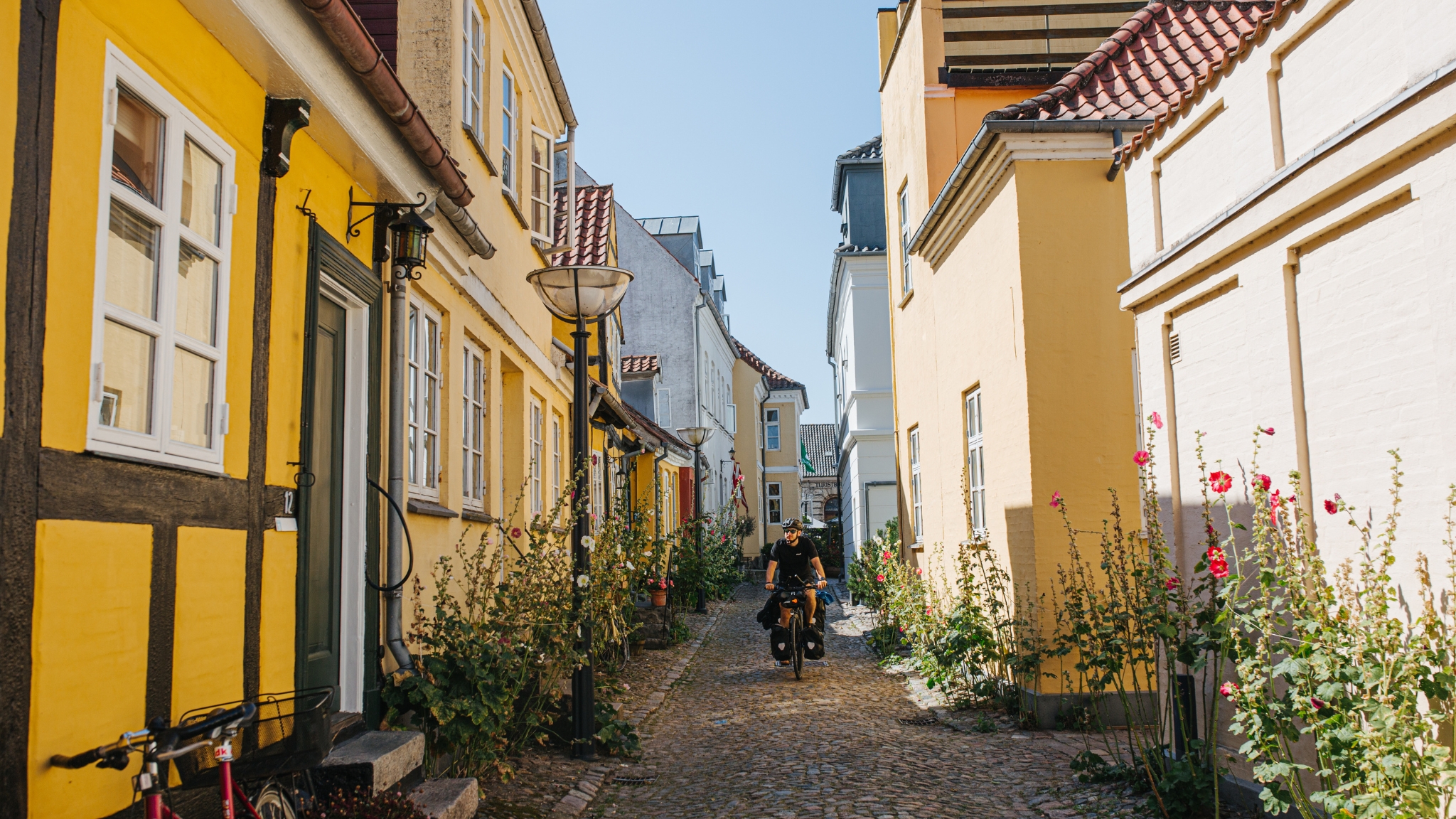 Radfahrer in einer Kopfsteinpflastergasse zwischen farbenfrohen alten Häusern und Stockrosen in Faaborg.