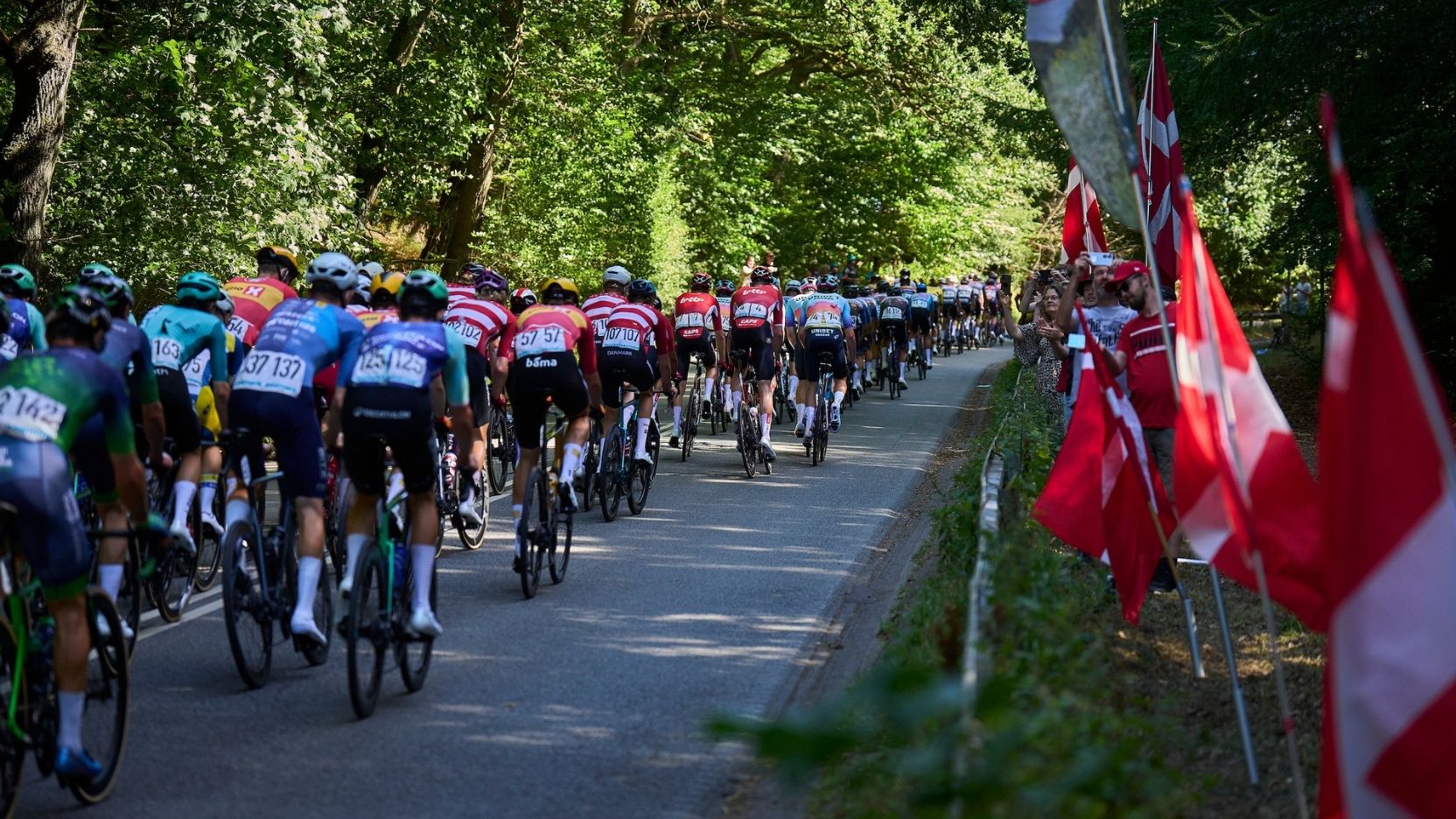 Radfahrer fahren entlang der Landstraße bei der PostNord Danmark Rundt 2026.