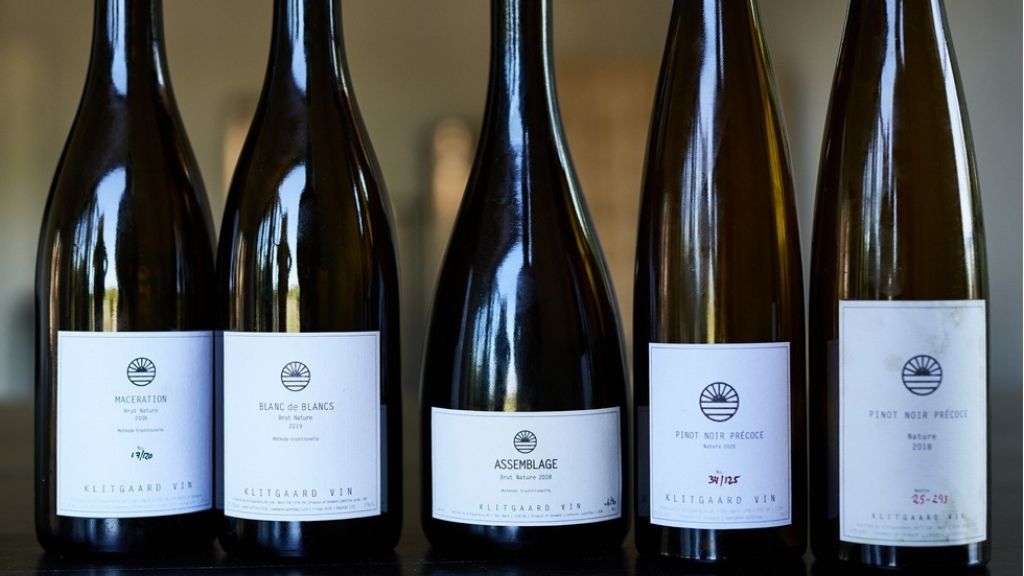 Vine fra Klitgaard Vin ved Sønder Nærå på Midtfyn